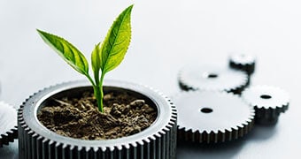 Sprout growing out of gear filled with dirt